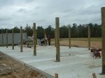 field3.jpg