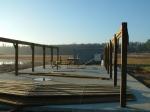 field5.jpg